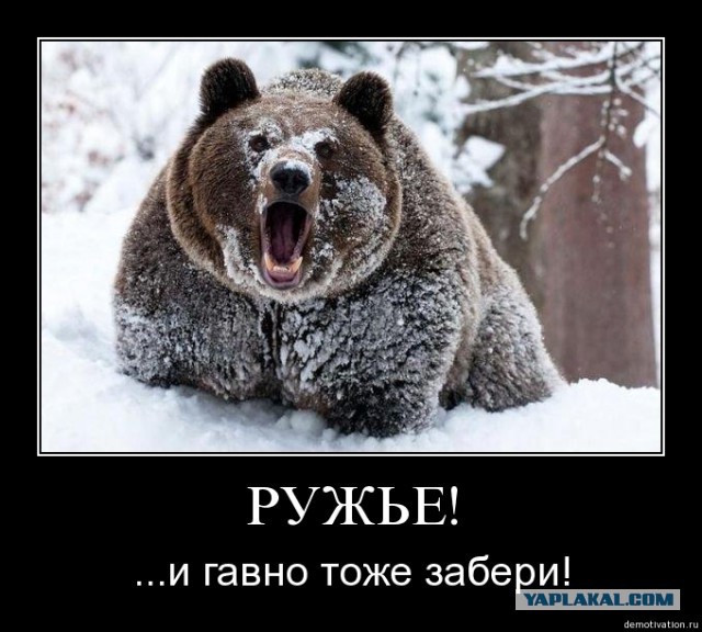 Убили медведя