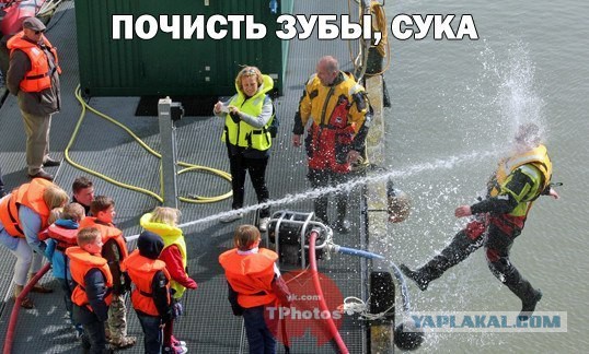 Смешные картинки из соц. сетей.