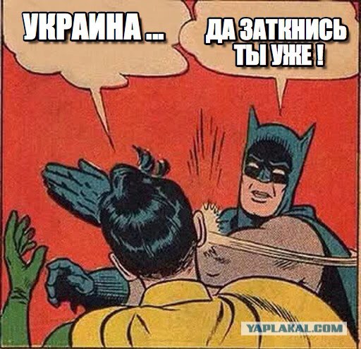 Очень умный паук