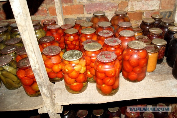 Рассольник, (FrauMarta, Ammok, Mitsv - против похмел