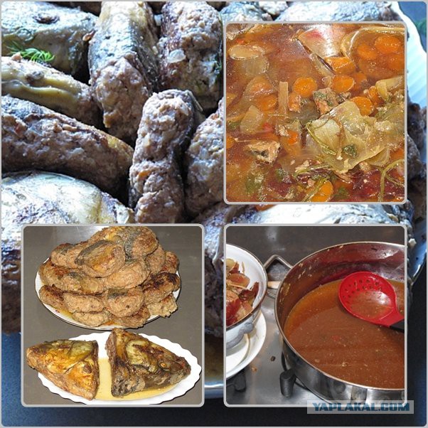 Гефилте фиш