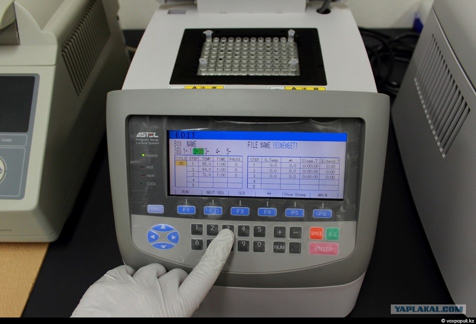 Амплификатор bio rad. Амплификатор cfx96. Амплификатор детектирующий dtprime 5м1. Амплификатор q3200. Амплификатор cfx96.