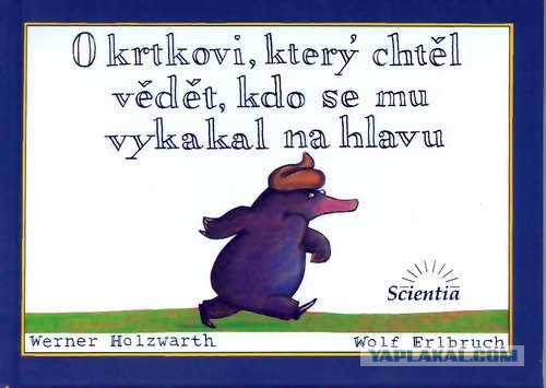 Самые странные книги
