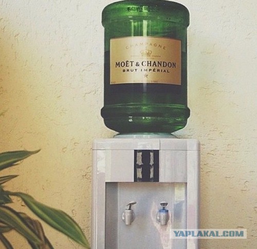 Самые-самые знаки Зодиака