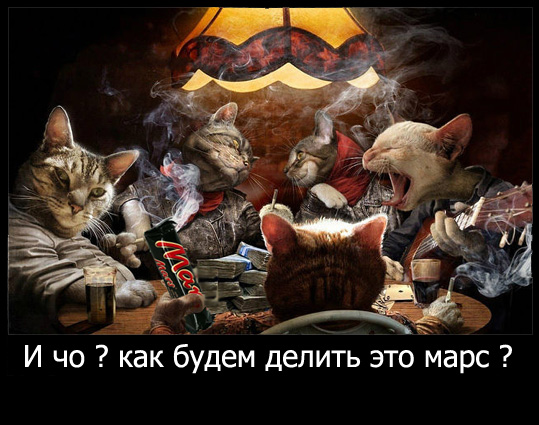 Начался набор волонтеров для полета на Марс