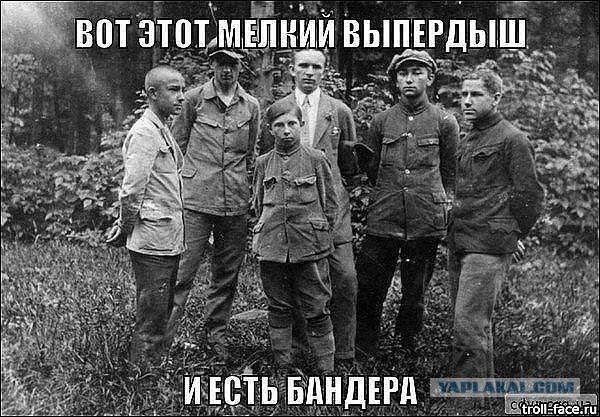 Польские активисты разрушили памятник УПА