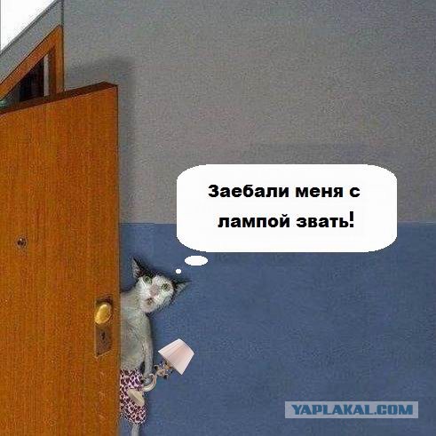 Безумная покупка