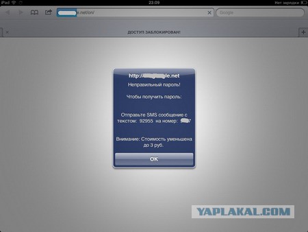 Принесли Ipad с банером вымогателем.