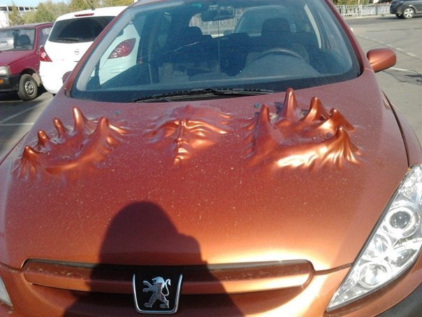 Веселые картинки