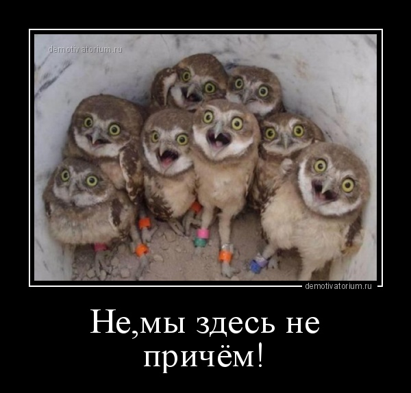 Демотиваторы на Субботу