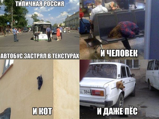 Картинки, надписи