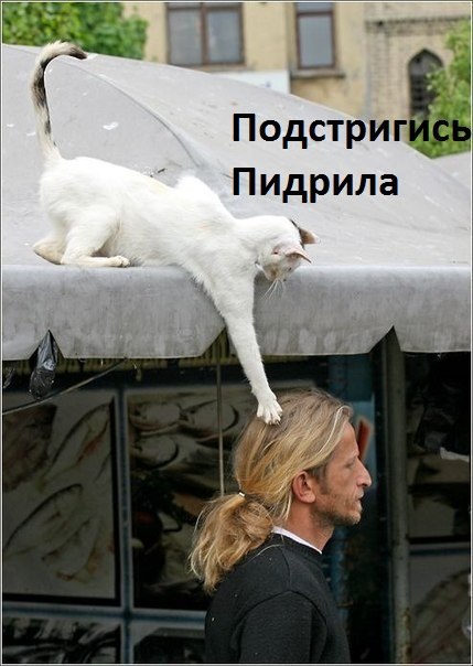 Картинки на пятницу