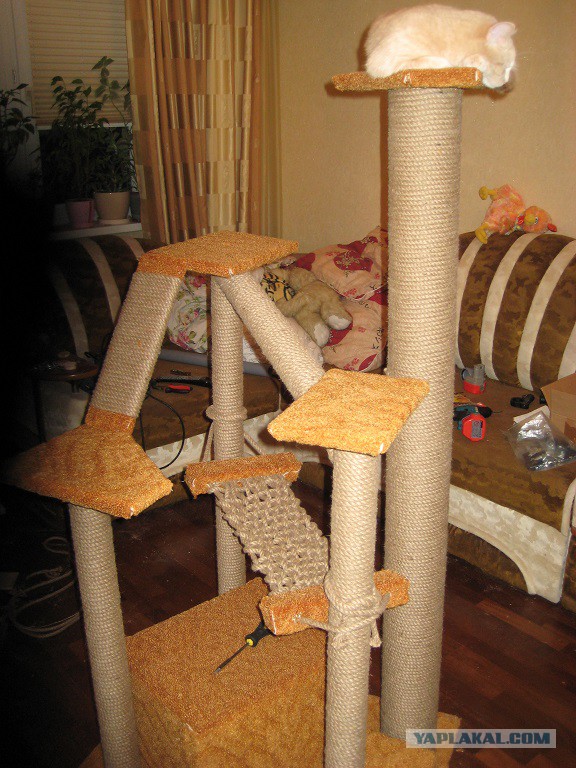 Кошкин дом - он такой