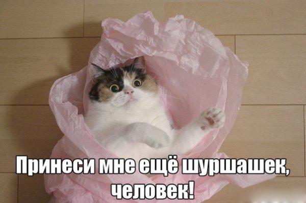 Картинки разные 2