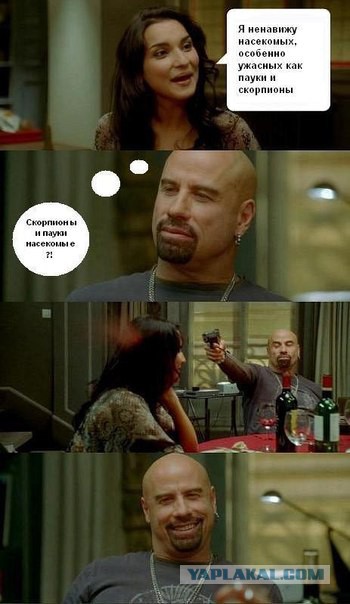 Интересные факты о пауках