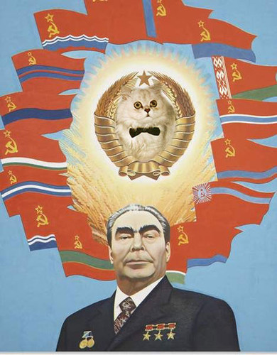 Котовторник: лента прикольных котов на 05.02!