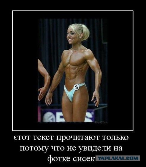 Идиотские надписи и маразмы в картинках