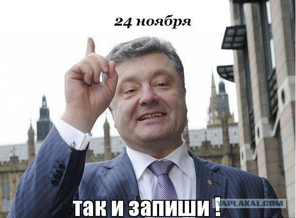 Морковка для ослов