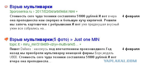 Немецкая мультиварка рванула не хуже бомбы