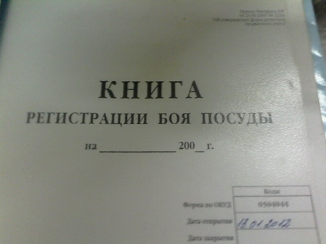 Журнал боя посуды в детском саду образец