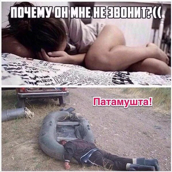Продолжаем мизантропизировать....