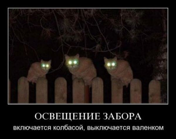 Боевой режим активирован