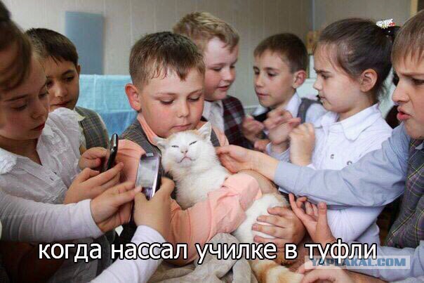 Юмор не для тех...