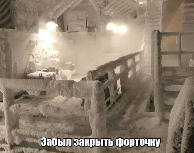 Подборка интересных и веселых картинок