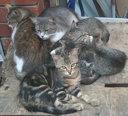 Что-то жарко сегодня...