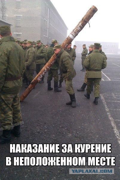 Разные по свежести картинки. Опять