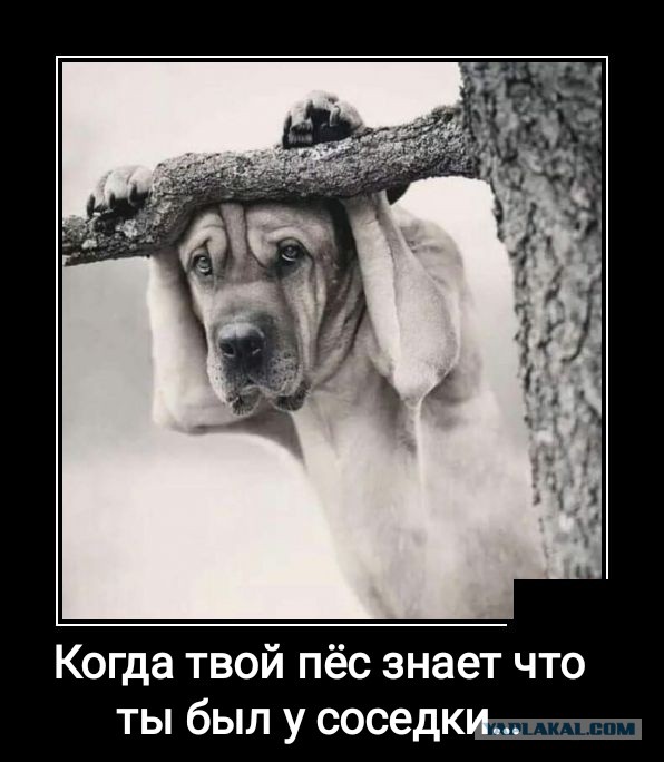 Хочется какой нибудь внезапной радости картинки