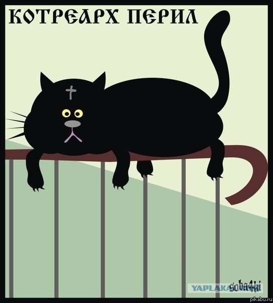 15 маразмов, которые поднимут настроение на весь день