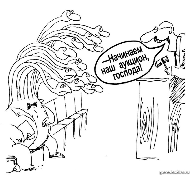 ��������, ������� �������� 44��