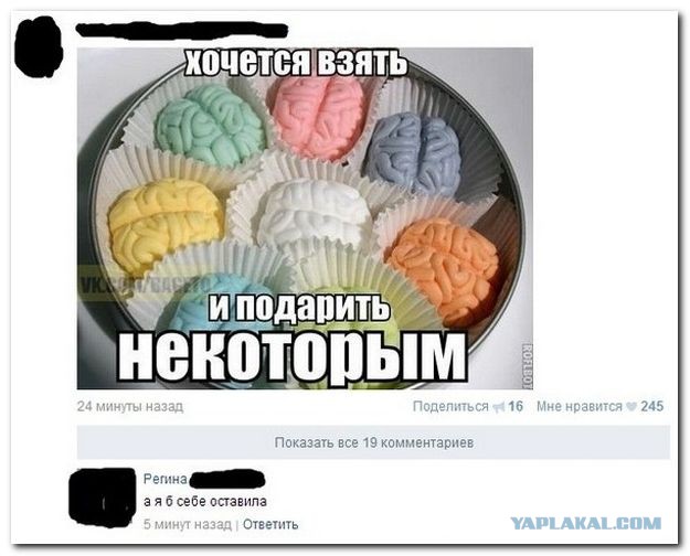Безграмотные девушки, которых давно нужно было отправить к Гудвину