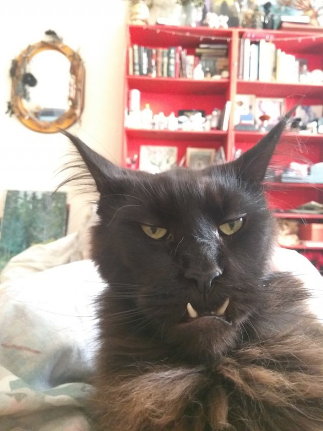 Paзнoвиднocти тьмы