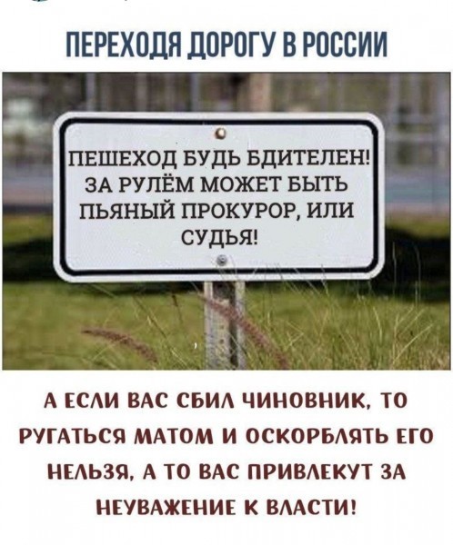 Чуток картинок! 14.11.19