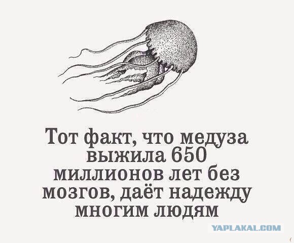 Звериный оскал зоозащиты