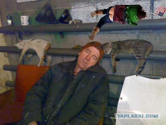 Тихий час сантехника