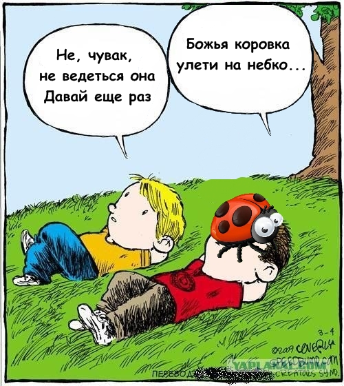 Смотрим на облака вместе