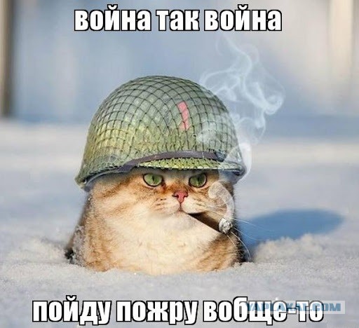 Путин предложил подумать о льготах и скидках для россиян, выполнивших нормы ГТО