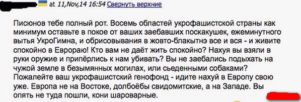 Воспоминания диванного воина о русско-украинской войне