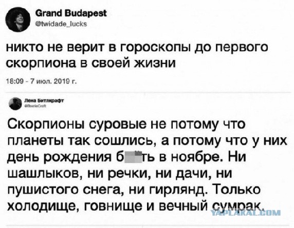 Фотки и картинки: юморные и красивые, забавные и милые 13.11.20