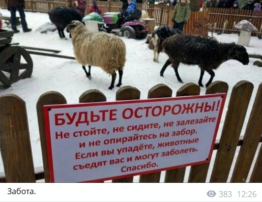 Картинки обо всëм. 07.01.20