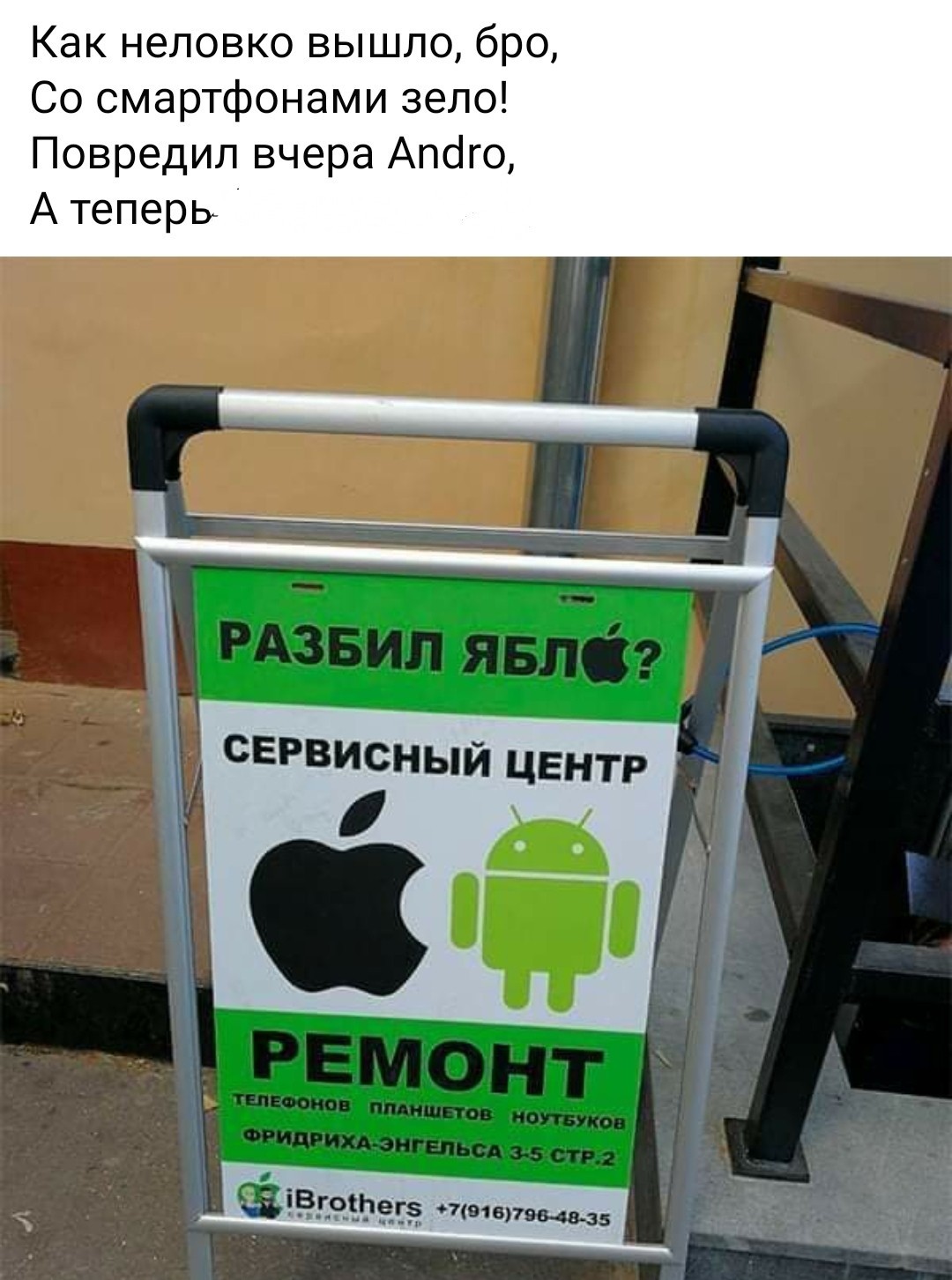 15167173.jpg