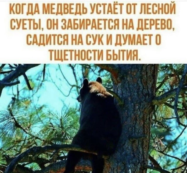 Картинки и мемы для настроения 012