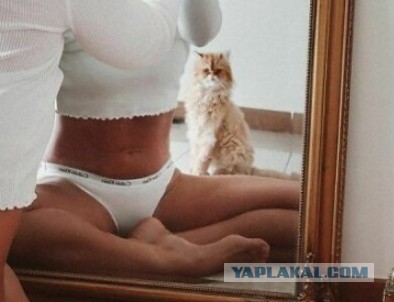 Тело без фотошопа