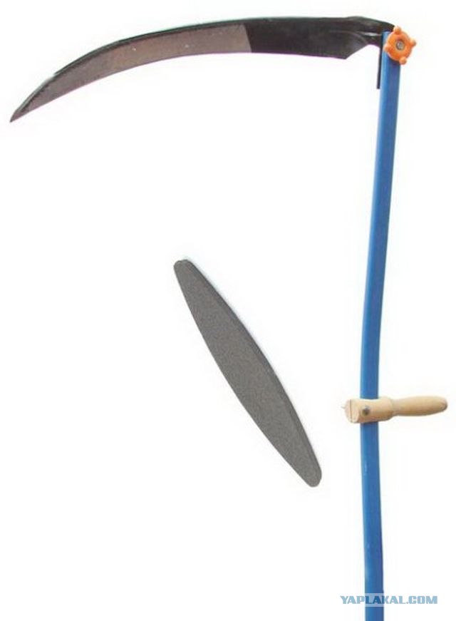 Русский - это объединяет