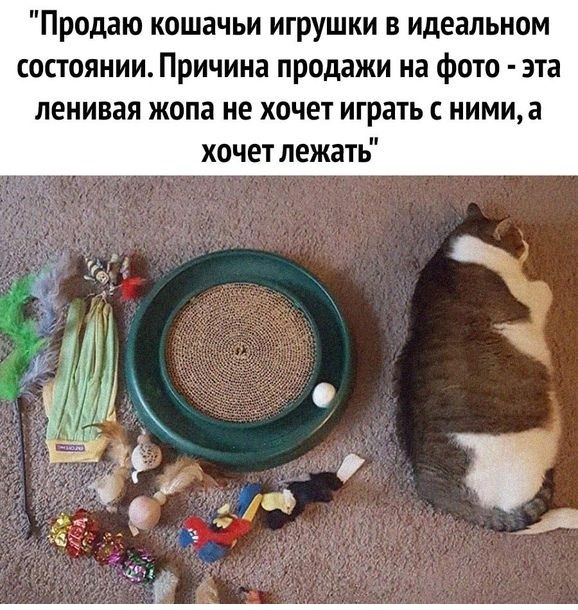 Картинки с надписями и всякие жизненные фразы 1.05.21