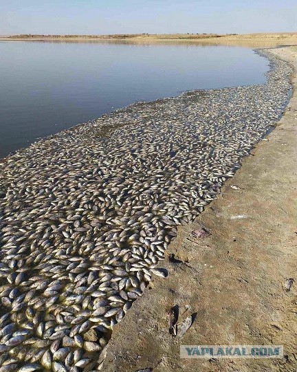 Внимание, сейчас будет ВОЛНА