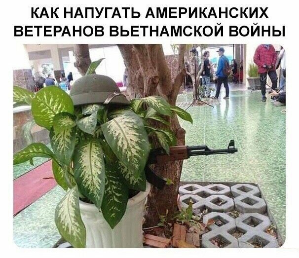 Картинки и мемы для настроения 12.10.2021